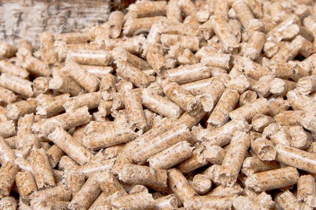 Biomass Fuel
